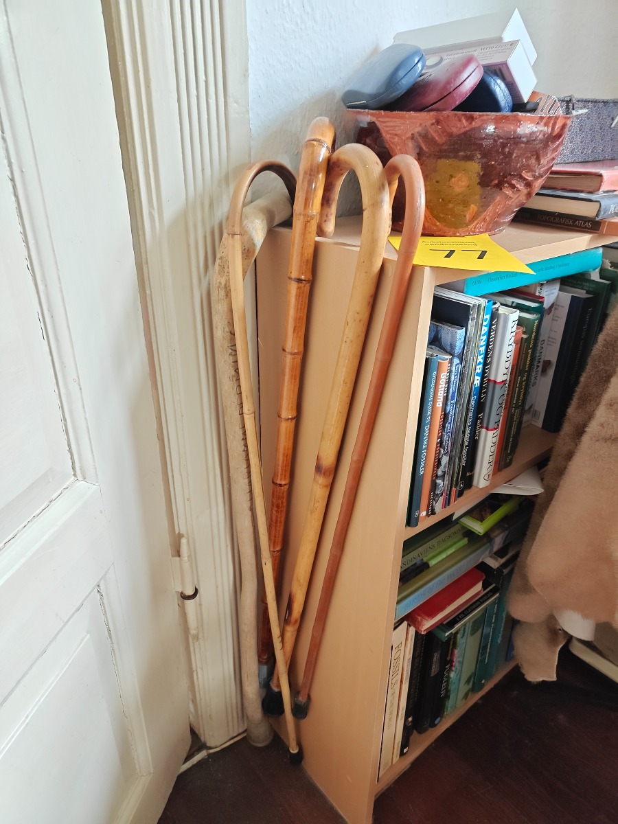 Samling af stokke (5)