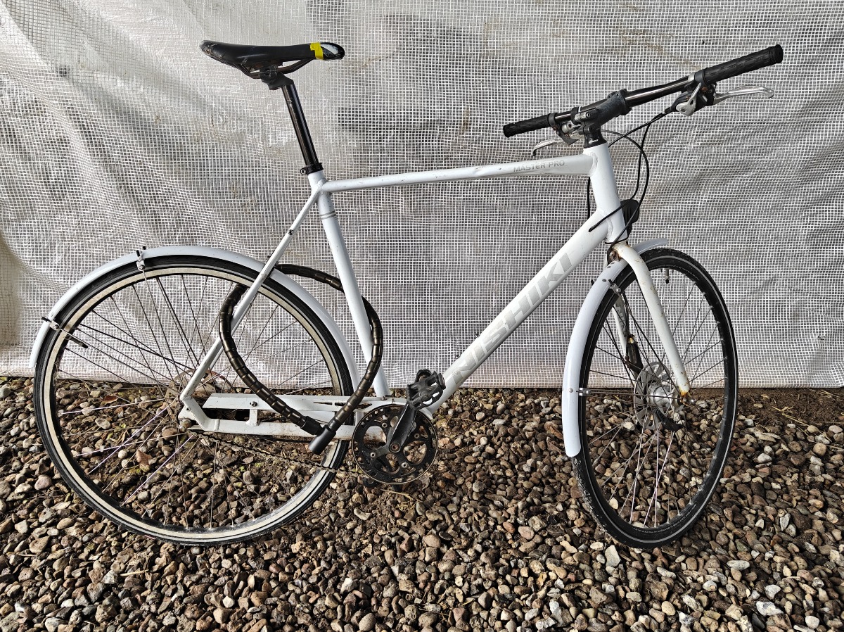 Nishiki Master Pro citybike