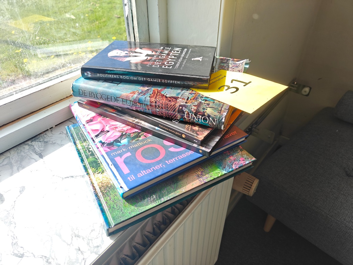 Lille bogsamling (6)