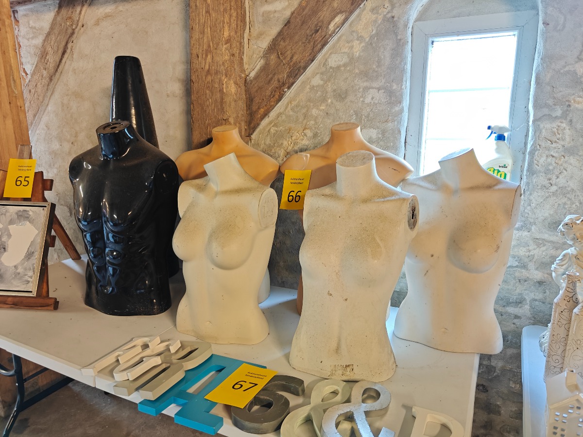 Torso mannequiner (6)