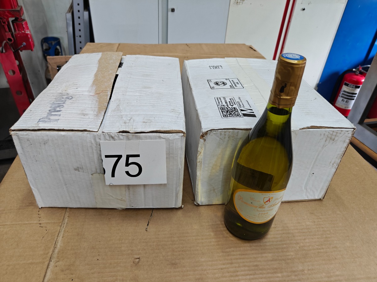 Domaine des Ardail hvidvin (12)