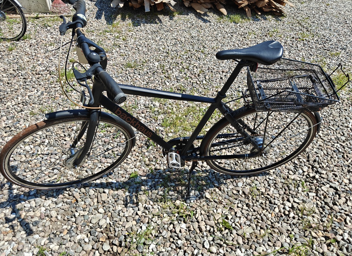 Backhaus herrecitybike