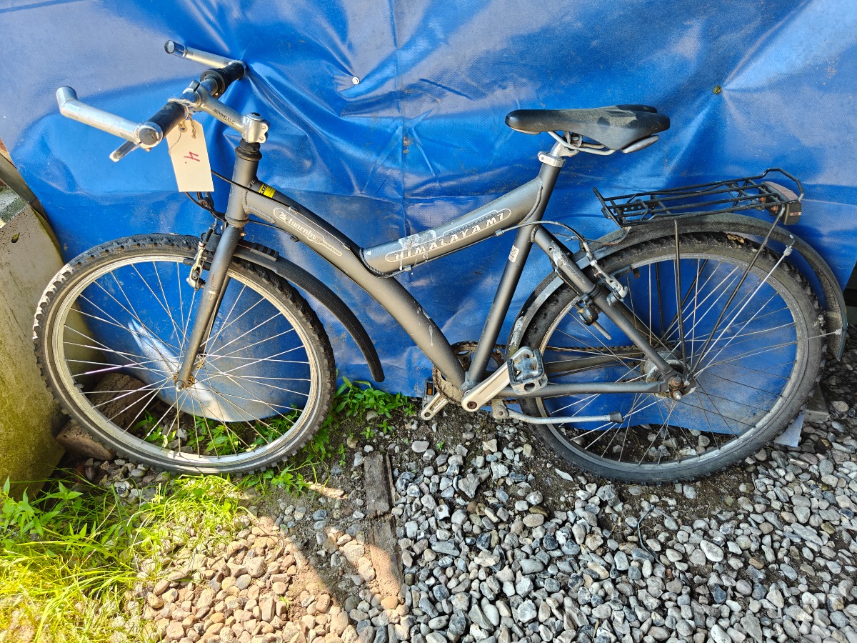 Himalaya juniorcykel 