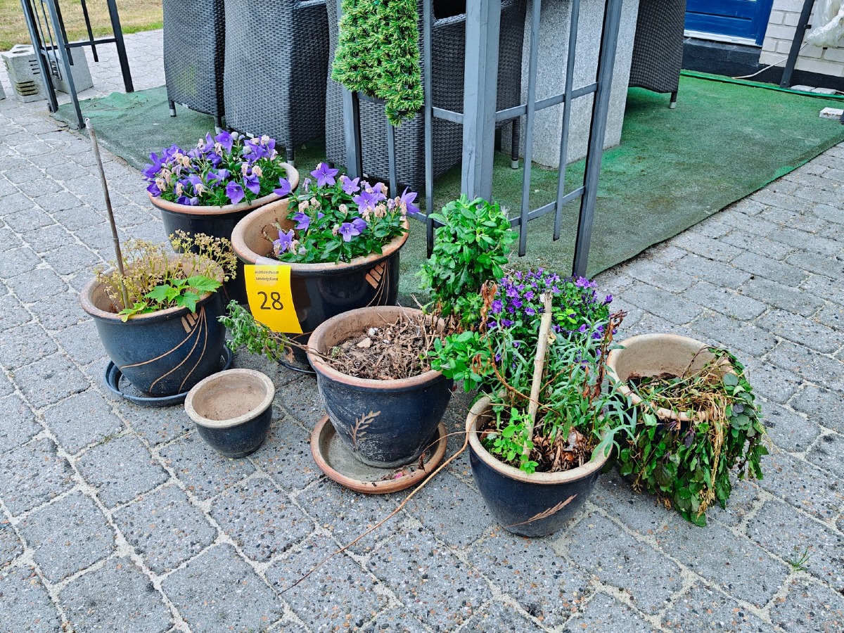 Samling af potter med blå glasur