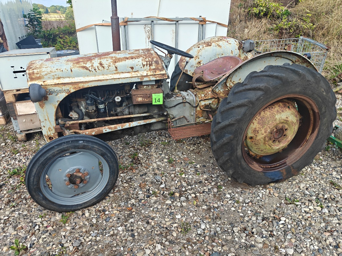 Ferguson 31 