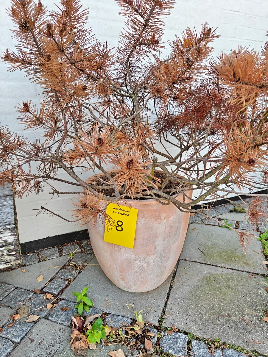 Terrakottakrukke