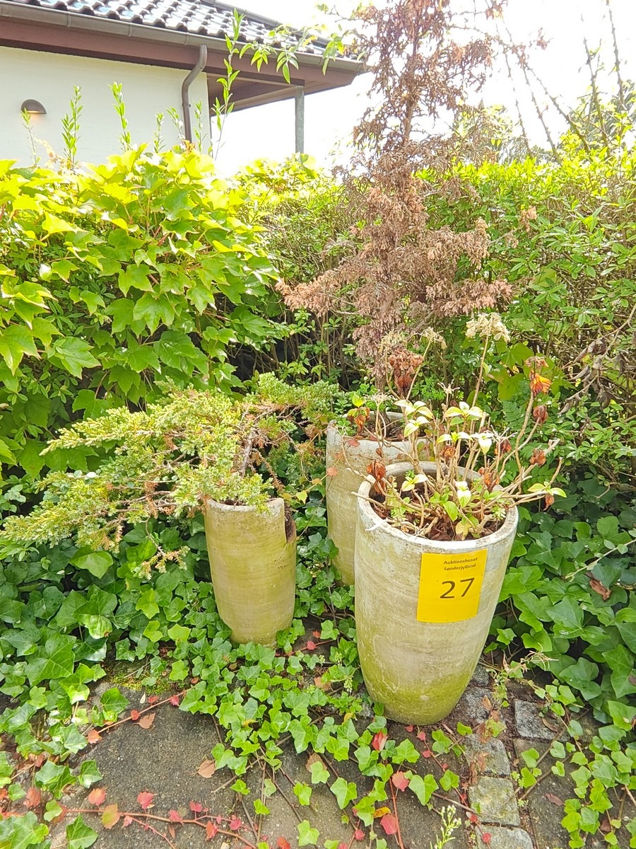 Terrakottakrukker med planter (3)