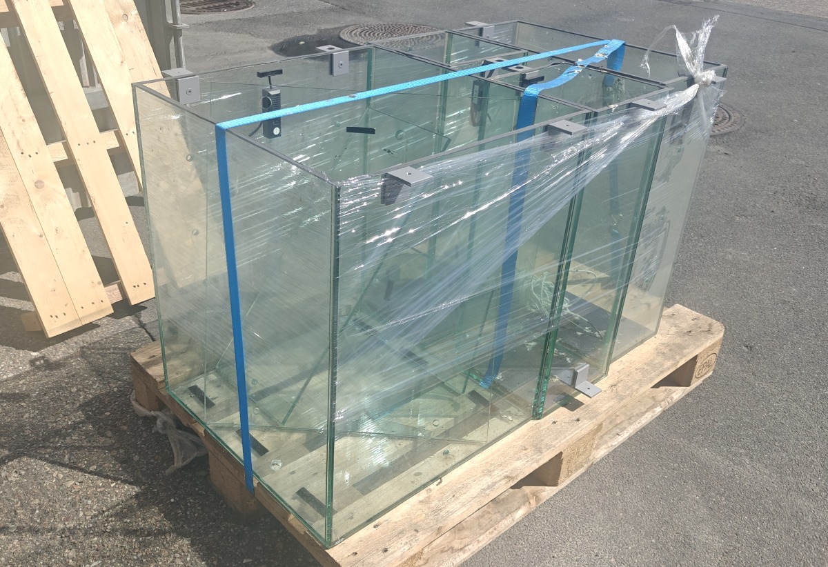 7 Glasmontre t/udstilling, butik o.lign