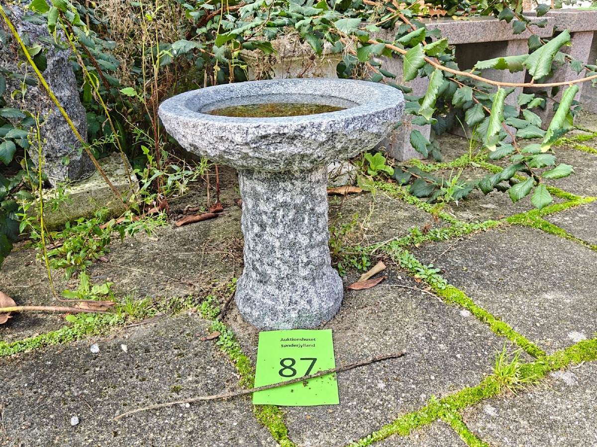 Fuglebad på fod