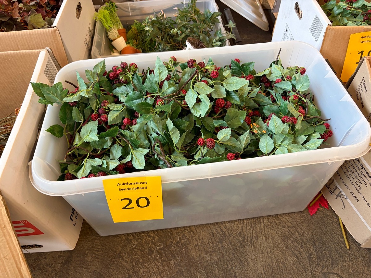 Efterårsdekoration af brombærgrene