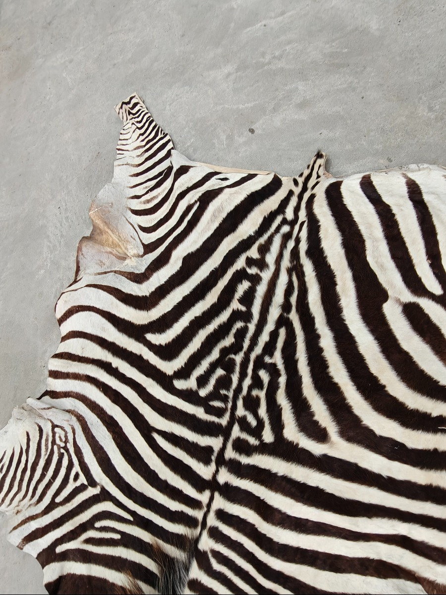Zebra skin/tæppe