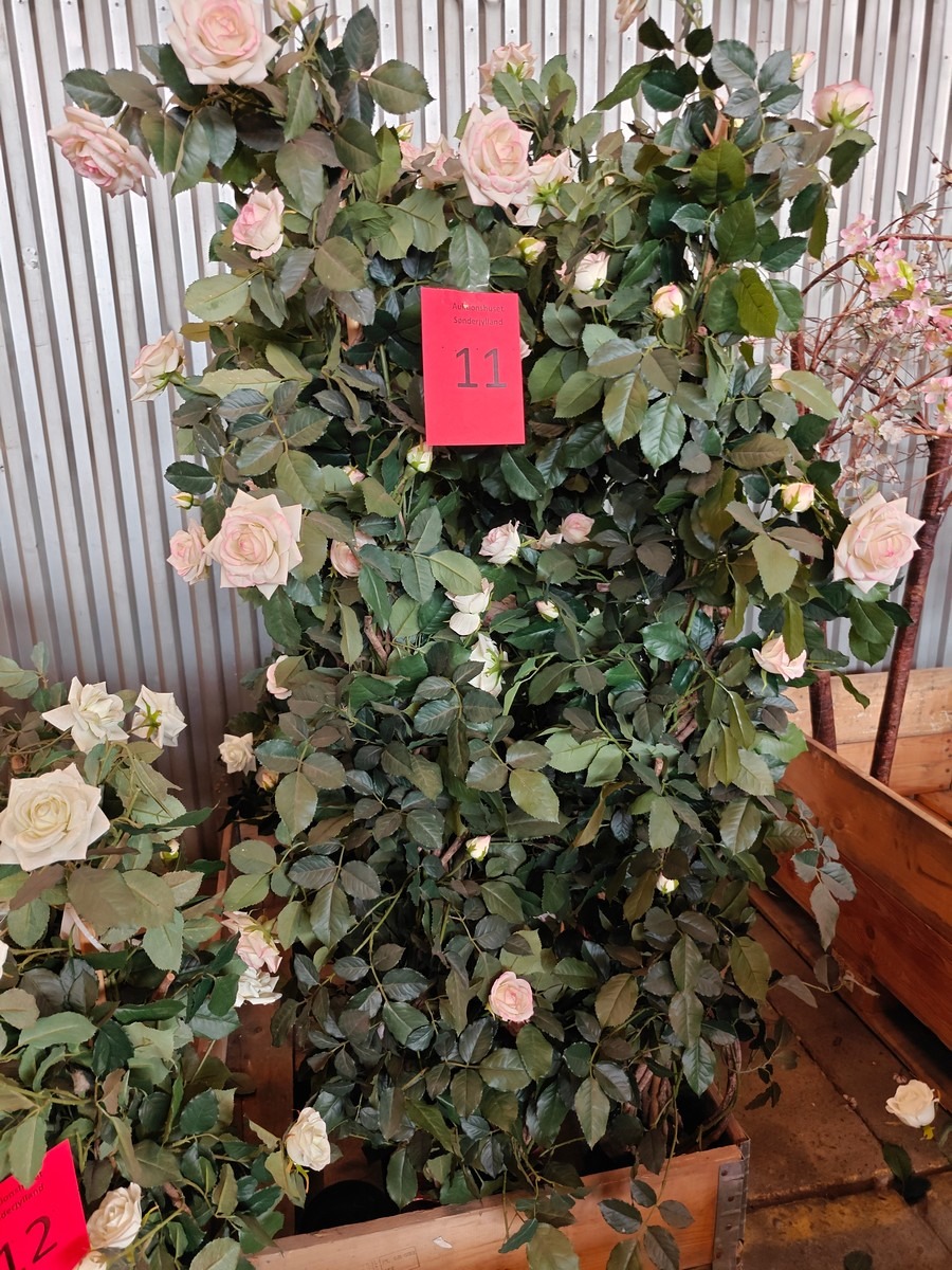 Kunstige rosensøjler, sart rosa (2)