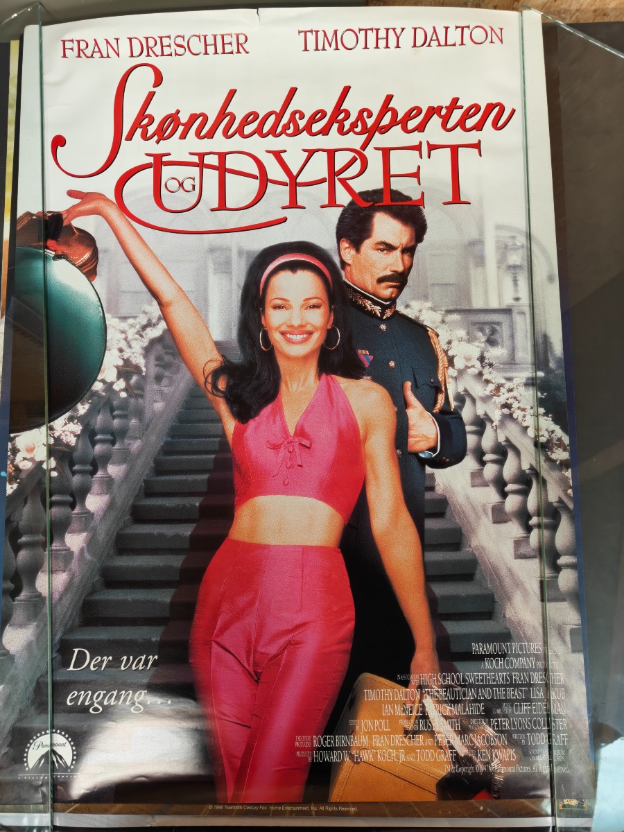 Filmplakater fra tidligere videobutik