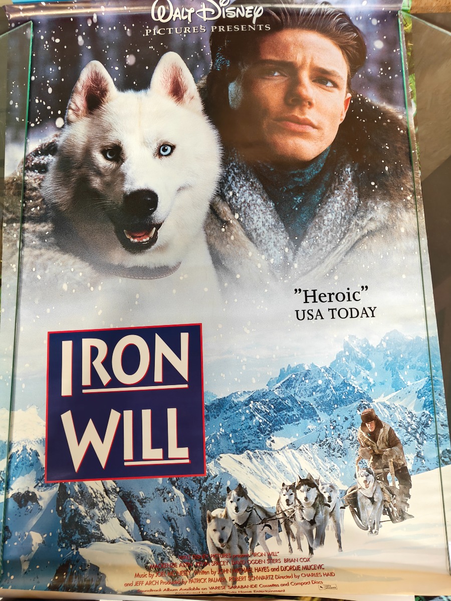 Filmplakater fra tidligere videobutik