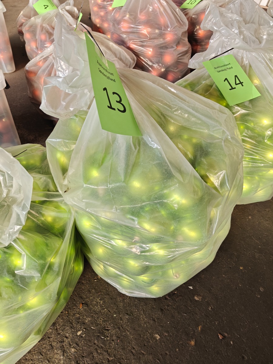 Diverse julekugler - lime shiny